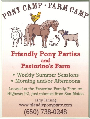 Petting Zoo Birthday Party Bay Area